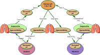 Normal pH flow chart